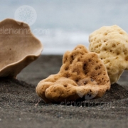 Kalymnian Natural Sea Sponge
