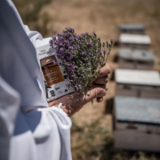 Artisanal beekeeping process in Crete